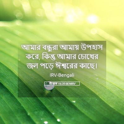 Picture 05 - ইয়োব 16:20 BENIRV - আমার বন্ধুরা - Bible Verse Picture