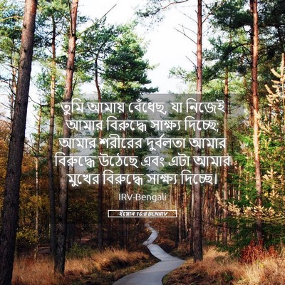 Picture 05 - ইয়োব 16:8 BENIRV - তুমি আমায় বেঁধেছ, - Bible Verse Picture