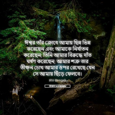 Picture 05 - ইয়োব 16:9 BENIRV - ঈশ্বর তাঁর ক্রোধে - Bible Verse Picture