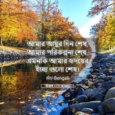 Picture 05 - ইয়োব 17:11 BENIRV - আমার আয়ুর দিন শেষ, - Bible Verse Picture