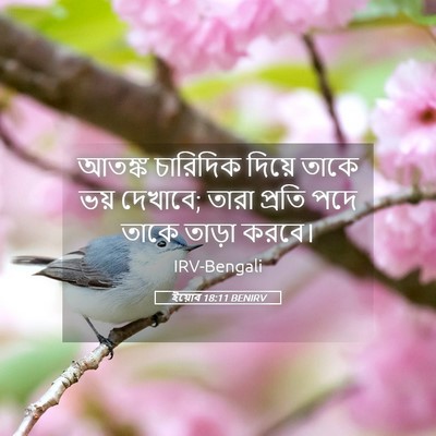 Picture 05 - ইয়োব 18:11 BENIRV - আতঙ্ক চারিদিক - Bible Verse Picture