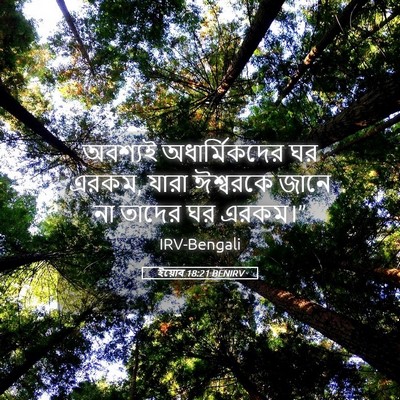 Picture 05 - ইয়োব 18:21 BENIRV - অবশ্যই - Bible Verse Picture