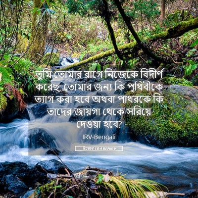 Picture 05 - ইয়োব 18:4 BENIRV - তুমি তোমার রাগে - Bible Verse Picture