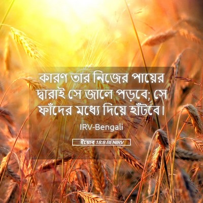Picture 05 - ইয়োব 18:8 BENIRV - কারণ তার নিজের - Bible Verse Picture