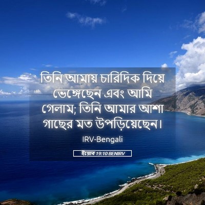 Picture 05 - ইয়োব 19:10 BENIRV - তিনি আমায় - Bible Verse Picture
