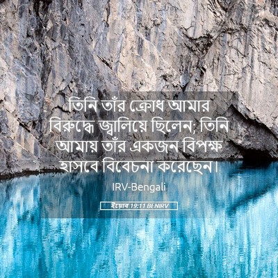 Picture 05 - ইয়োব 19:11 BENIRV - তিনি তাঁর ক্রোধ - Bible Verse Picture
