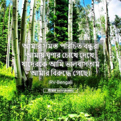 Picture 05 - ইয়োব 19:19 BENIRV - আমার সমস্ত পরিচিত - Bible Verse Picture