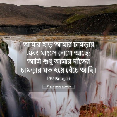 Picture 05 - ইয়োব 19:20 BENIRV - আমার হাড় আমার - Bible Verse Picture