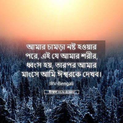 Picture 05 - ইয়োব 19:26 BENIRV - আমার চামড়া নষ্ট - Bible Verse Picture