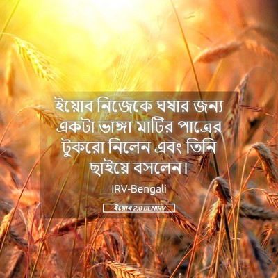 Picture 05 - ইয়োব 2:8 BENIRV - ইয়োব নিজেকে ঘষার - Bible Verse Picture