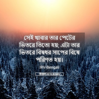 Picture 05 - ইয়োব 20:14 BENIRV - সেই খাবার তার - Bible Verse Picture
