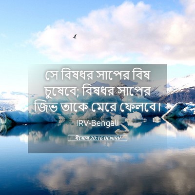 Picture 05 - ইয়োব 20:16 BENIRV - সে বিষধর সাপের বিষ - Bible Verse Picture