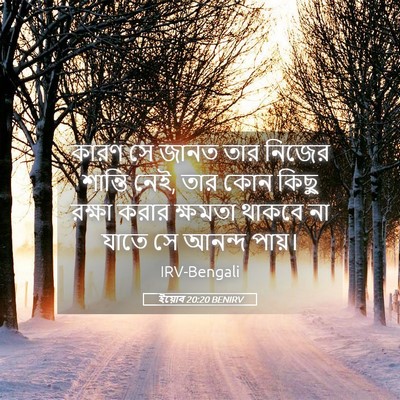 Picture 05 - ইয়োব 20:20 BENIRV - কারণ সে জানত তার - Bible Verse Picture