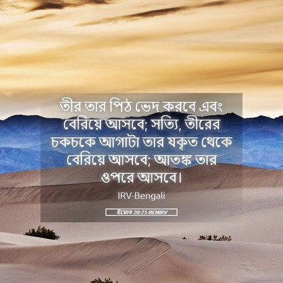 Picture 05 - ইয়োব 20:25 BENIRV - তীর তার পিঠ ভেদ - Bible Verse Picture