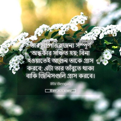 Picture 05 - ইয়োব 20:26 BENIRV - তার সম্পত্তির - Bible Verse Picture