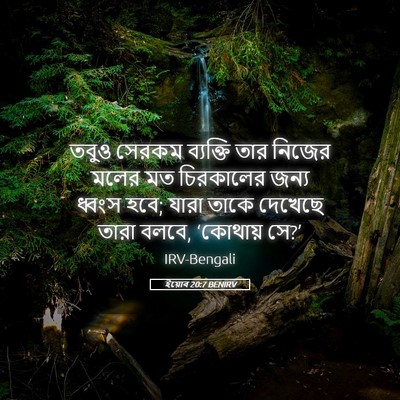 Picture 05 - ইয়োব 20:7 BENIRV - তবুও সেরকম - Bible Verse Picture