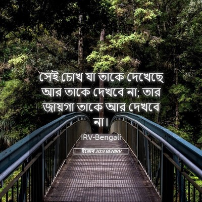 Picture 05 - ইয়োব 20:9 BENIRV - সেই চোখ যা তাকে - Bible Verse Picture