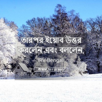 Picture 05 - ইয়োব 21:1 BENIRV - তারপর ইয়োব উত্তর - Bible Verse Picture