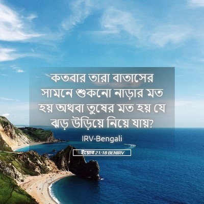 Picture 05 - ইয়োব 21:18 BENIRV - কতবার তারা - Bible Verse Picture