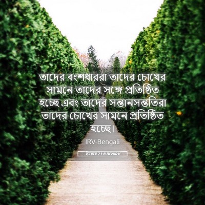 Picture 05 - ইয়োব 21:8 BENIRV - তাদের বংশধাররা - Bible Verse Picture