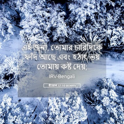 Picture 05 - ইয়োব 22:10 BENIRV - এই জন্য, তোমার - Bible Verse Picture