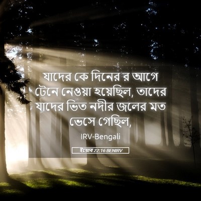 Picture 05 - ইয়োব 22:16 BENIRV - যাদের কে দিনের র - Bible Verse Picture