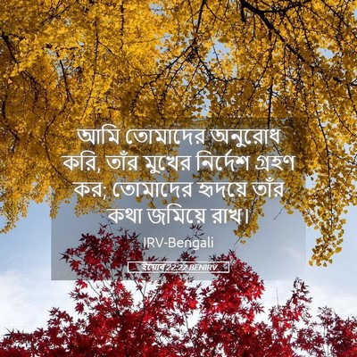Picture 05 - ইয়োব 22:22 BENIRV - আমি তোমাদের - Bible Verse Picture