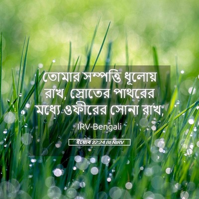 Picture 05 - ইয়োব 22:24 BENIRV - তোমার সম্পত্তি - Bible Verse Picture