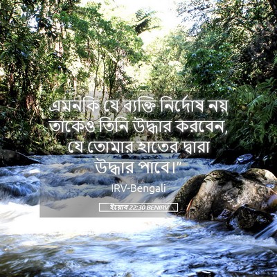Picture 05 - ইয়োব 22:30 BENIRV - এমনকি যে ব্যক্তি - Bible Verse Picture