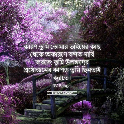 Picture 05 - ইয়োব 22:6 BENIRV - কারণ তুমি তোমার - Bible Verse Picture