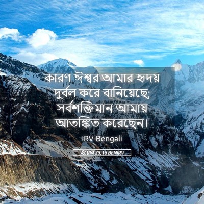Picture 05 - ইয়োব 23:16 BENIRV - কারণ ঈশ্বর আমার - Bible Verse Picture