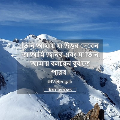 Picture 05 - ইয়োব 23:5 BENIRV - তিনি আমায় যা - Bible Verse Picture