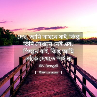 Picture 05 - ইয়োব 23:8 BENIRV - দেখ, আমি সামনে যাই, - Bible Verse Picture