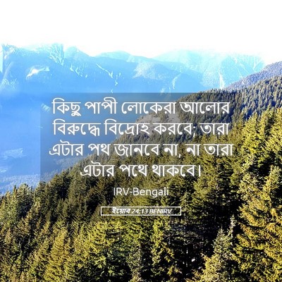 Picture 05 - ইয়োব 24:13 BENIRV - কিছু পাপী লোকেরা - Bible Verse Picture