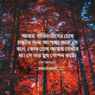 Picture 05 - ইয়োব 24:15 BENIRV - আবার, - Bible Verse Picture
