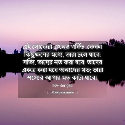 Picture 05 - ইয়োব 24:24 BENIRV - এই লোকেরা এখনও - Bible Verse Picture