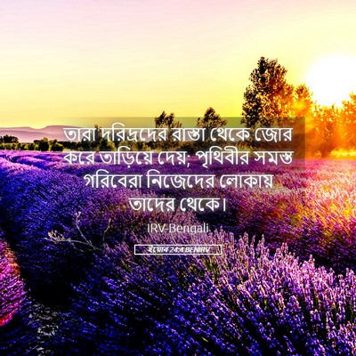 Picture 05 - ইয়োব 24:4 BENIRV - তারা দরিদ্রদের - Bible Verse Picture