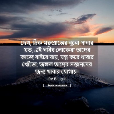 Picture 05 - ইয়োব 24:5 BENIRV - দেখ, ঠিক - Bible Verse Picture