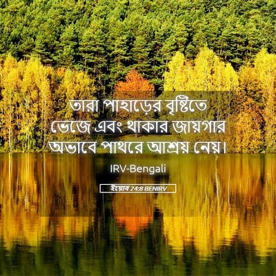 Picture 05 - ইয়োব 24:8 BENIRV - তারা পাহাড়ের - Bible Verse Picture
