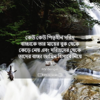 Picture 05 - ইয়োব 24:9 BENIRV - কেউ কেউ পিতৃহীন - Bible Verse Picture