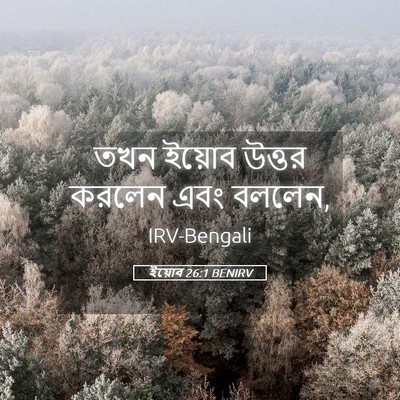 Picture 05 - ইয়োব 26:1 BENIRV - তখন ইয়োব উত্তর - Bible Verse Picture