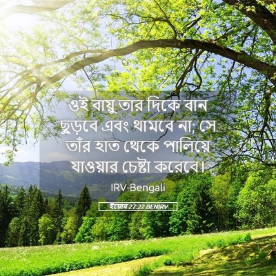 Picture 05 - ইয়োব 27:22 BENIRV - ওই বায়ু তার দিকে - Bible Verse Picture