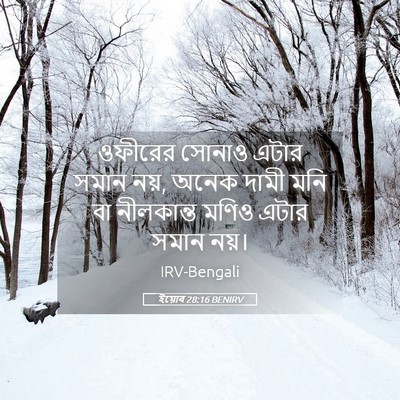Picture 05 - ইয়োব 28:16 BENIRV - ওফীরের সোনাও এটার - Bible Verse Picture
