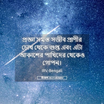 Picture 05 - ইয়োব 28:21 BENIRV - প্রজ্ঞা সমস্ত - Bible Verse Picture