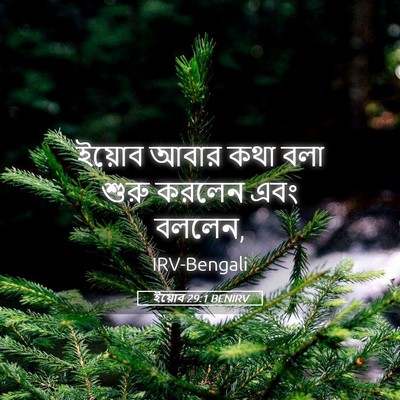 Picture 05 - ইয়োব 29:1 BENIRV - ইয়োব আবার কথা বলা - Bible Verse Picture
