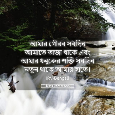 Picture 05 - ইয়োব 29:20 BENIRV - আমার গৌরব সবদিন - Bible Verse Picture