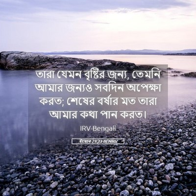 Picture 05 - ইয়োব 29:23 BENIRV - তারা যেমন বৃষ্টির - Bible Verse Picture