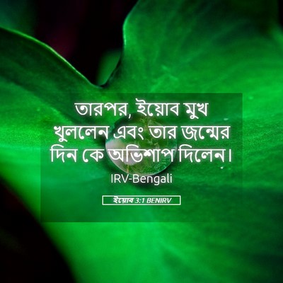 Picture 05 - ইয়োব 3:1 BENIRV - তারপর, ইয়োব মুখ - Bible Verse Picture