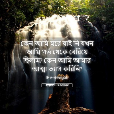 Picture 05 - ইয়োব 3:11 BENIRV - কেন আমি মরে যাই নি - Bible Verse Picture