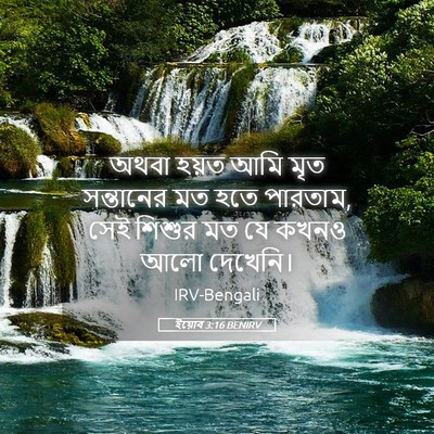 Picture 05 - ইয়োব 3:16 BENIRV - অথবা হয়ত আমি মৃত - Bible Verse Picture